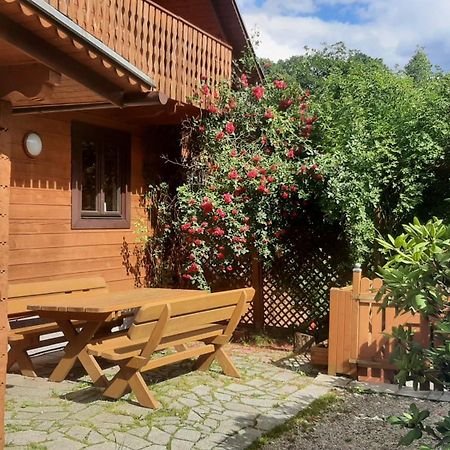 Villa Chata Gorska Sowa Dla 12 Osob, 4 Sypialnie,Salon Z Kominkiem Podgórzyn Exterior foto