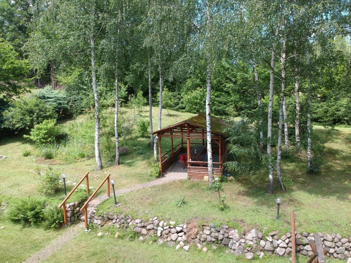 Villa Chata Gorska Sowa Dla 12 Osob, 4 Sypialnie,Salon Z Kominkiem Podgórzyn Exterior foto
