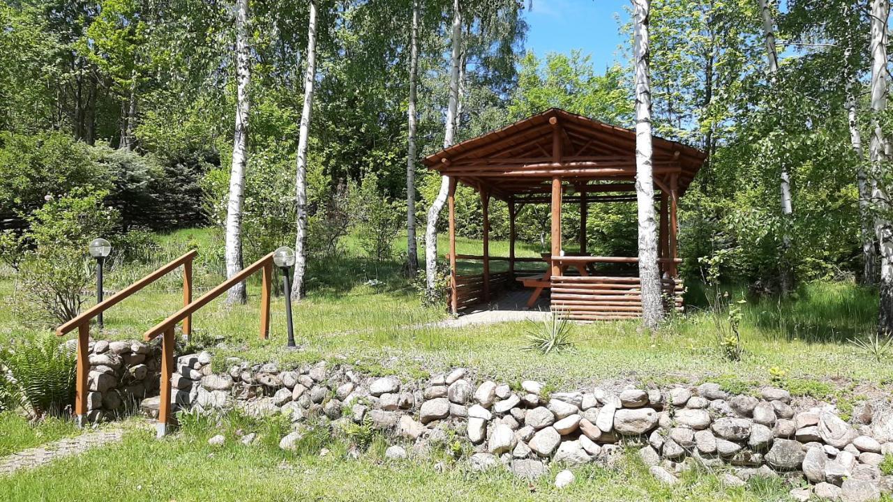 Villa Chata Gorska Sowa Dla 12 Osob, 4 Sypialnie,Salon Z Kominkiem Podgórzyn Exterior foto