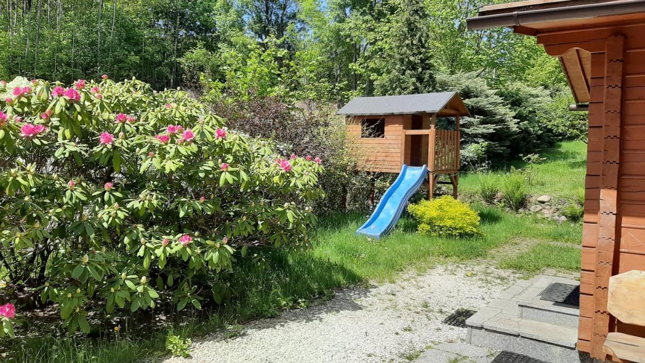 Villa Chata Gorska Sowa Dla 12 Osob, 4 Sypialnie,Salon Z Kominkiem Podgórzyn Exterior foto