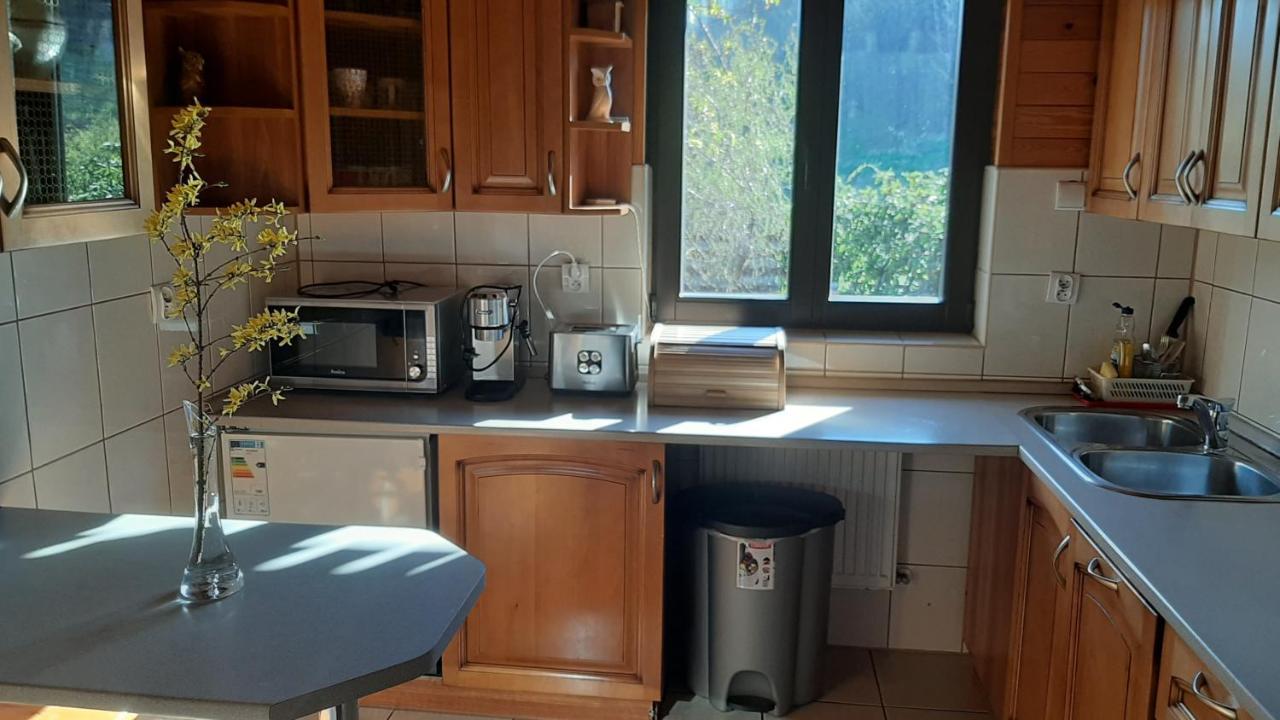 Villa Chata Gorska Sowa Dla 12 Osob, 4 Sypialnie,Salon Z Kominkiem Podgórzyn Exterior foto