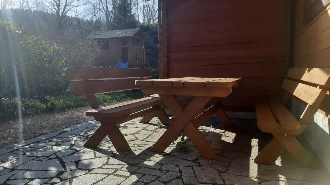 Villa Chata Gorska Sowa Dla 12 Osob, 4 Sypialnie,Salon Z Kominkiem Podgórzyn Exterior foto