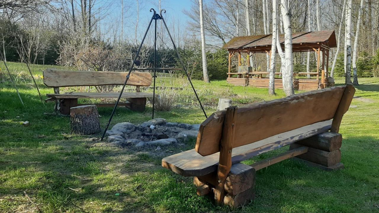 Villa Chata Gorska Sowa Dla 12 Osob, 4 Sypialnie,Salon Z Kominkiem Podgórzyn Exterior foto