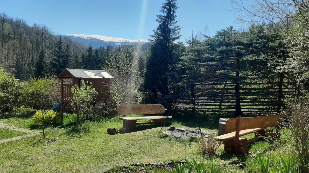Villa Chata Gorska Sowa Dla 12 Osob, 4 Sypialnie,Salon Z Kominkiem Podgórzyn Exterior foto