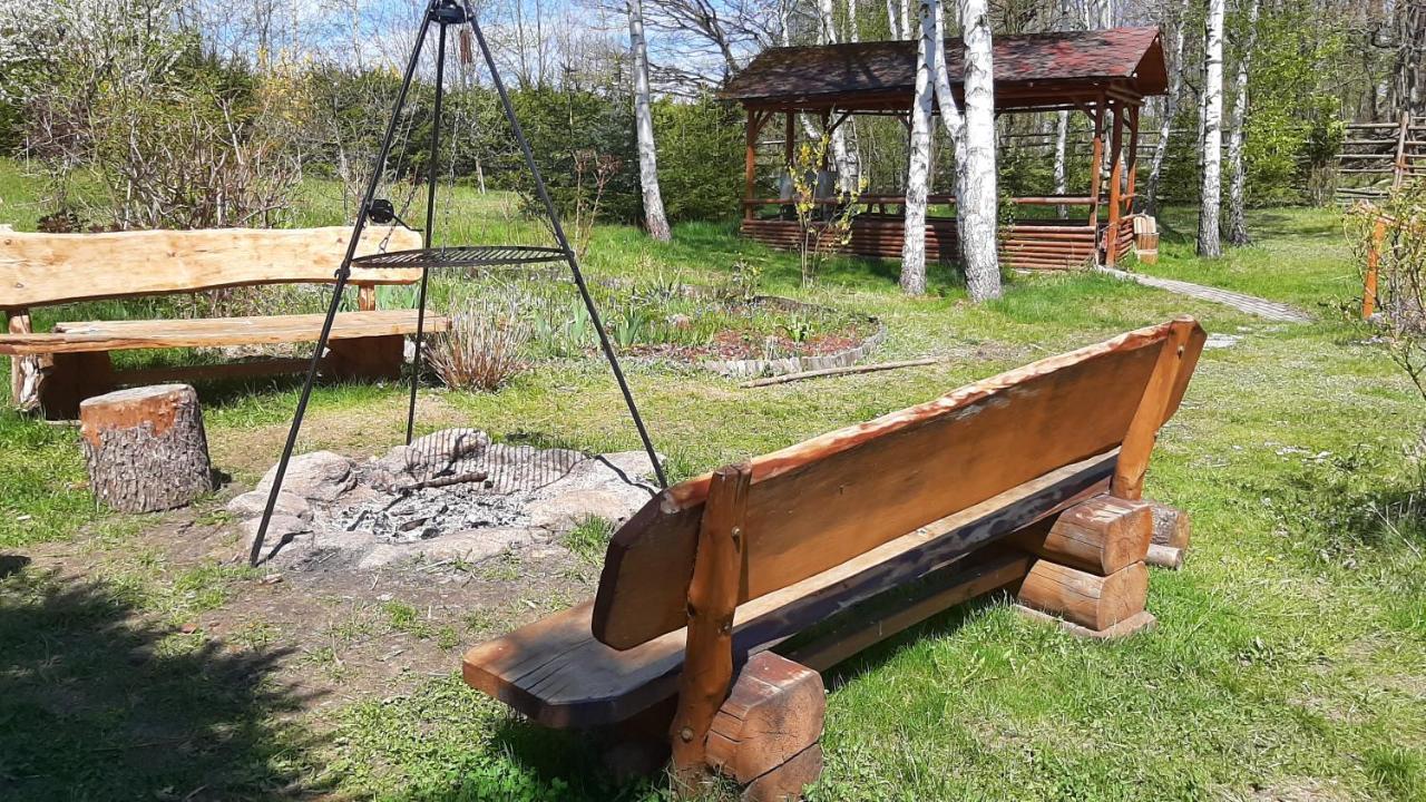 Villa Chata Gorska Sowa Dla 12 Osob, 4 Sypialnie,Salon Z Kominkiem Podgórzyn Exterior foto