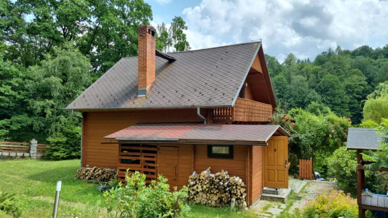 Villa Chata Gorska Sowa Dla 12 Osob, 4 Sypialnie,Salon Z Kominkiem Podgórzyn Exterior foto