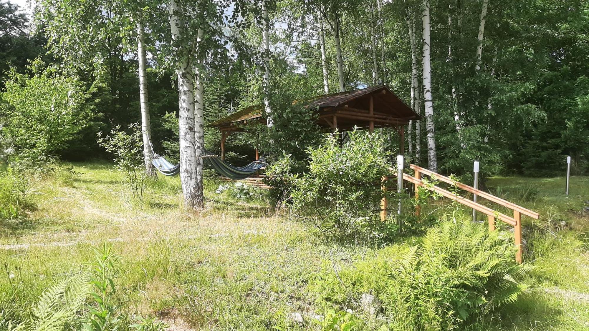 Villa Chata Gorska Sowa Dla 12 Osob, 4 Sypialnie,Salon Z Kominkiem Podgórzyn Exterior foto